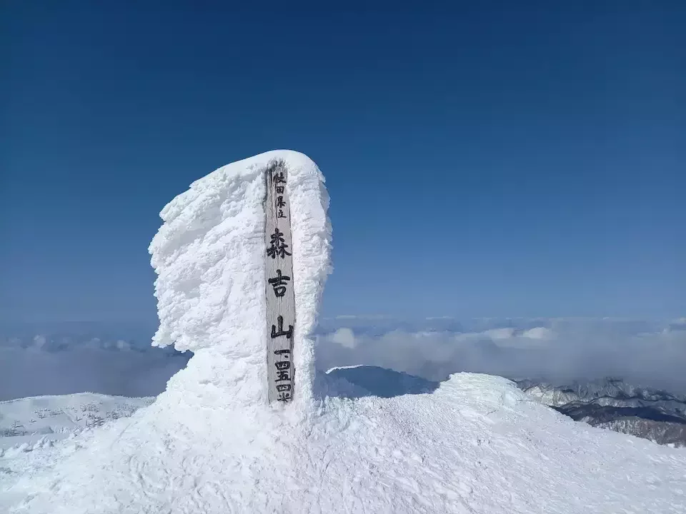 【森吉山】可憐な花々から冬のモンスターまで！難易度別登山ルートと登山口アクセス・各種情報をご紹介