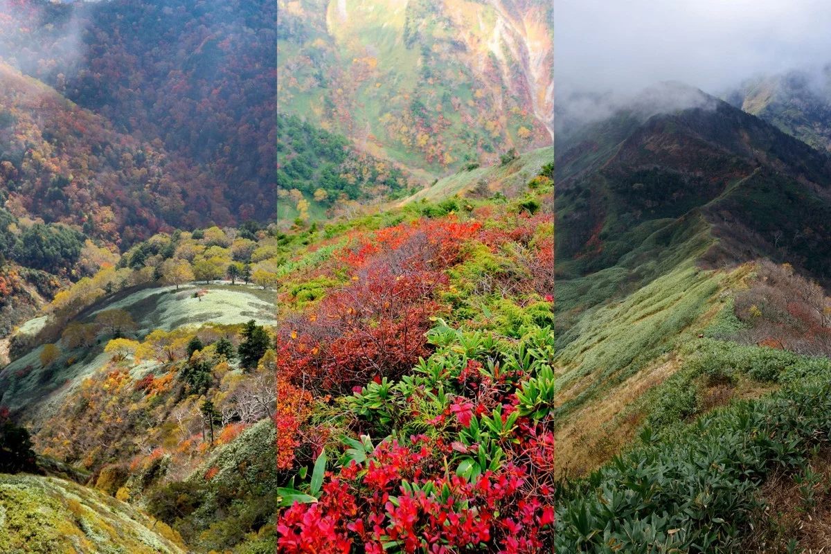 知る人ぞ知る秋の秘境：紅葉に染まる白砂山、野反湖からの絶景トレイル