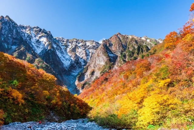 【初心者向け紅葉登山】ロープウェイで秋の絶景を見に行こうおすすめの山8選！