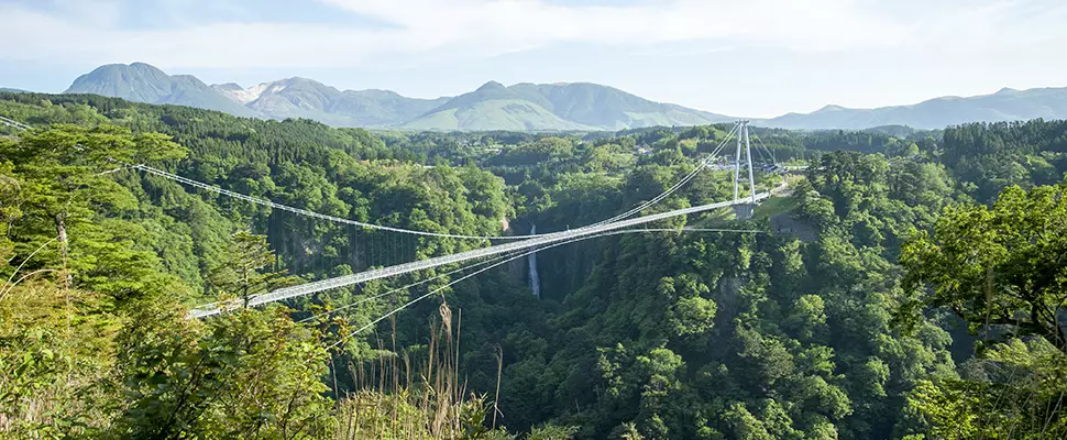 九重”夢”大吊橋