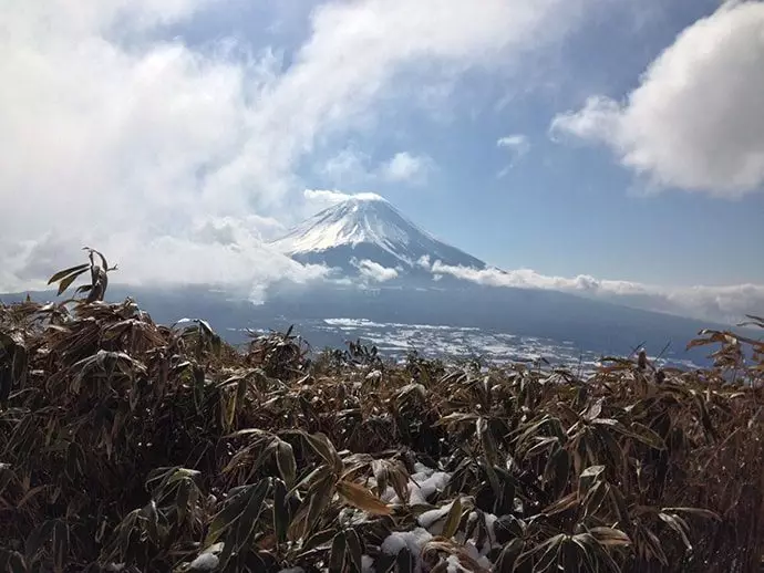 冬は空気が澄んでいて、いい富士山がみえる