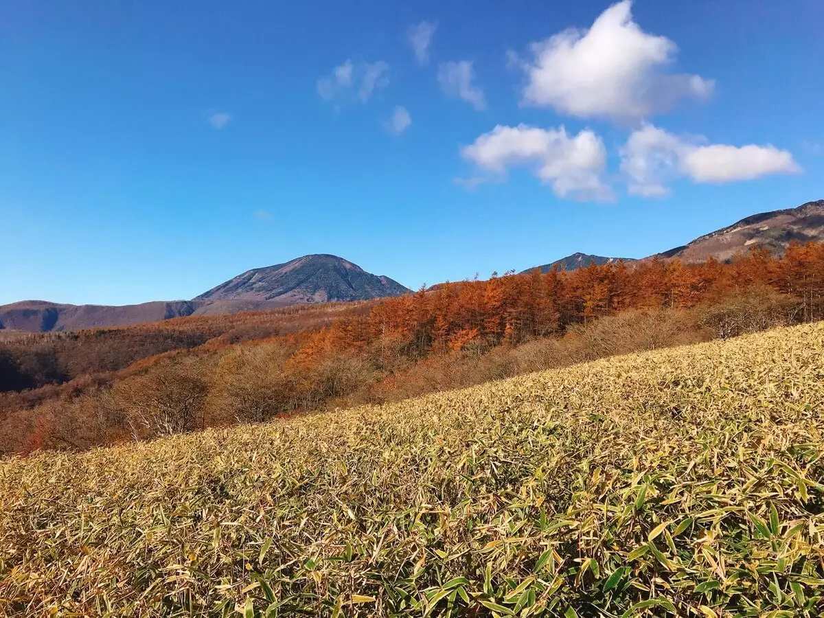 日光の感動の景色