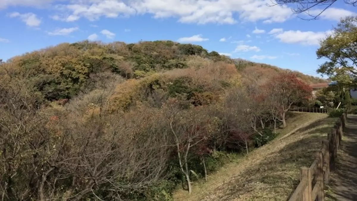 鎌倉アルプス　天園ハイキングコース