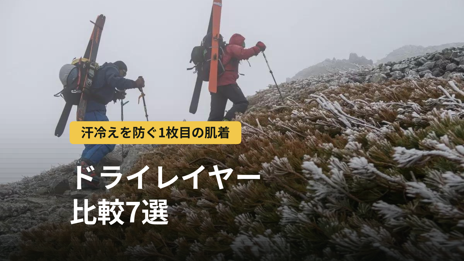 登山用ドライレイヤー比較7選｜汗冷えを防ぐ仕組みとメッシュアンダーの選び方