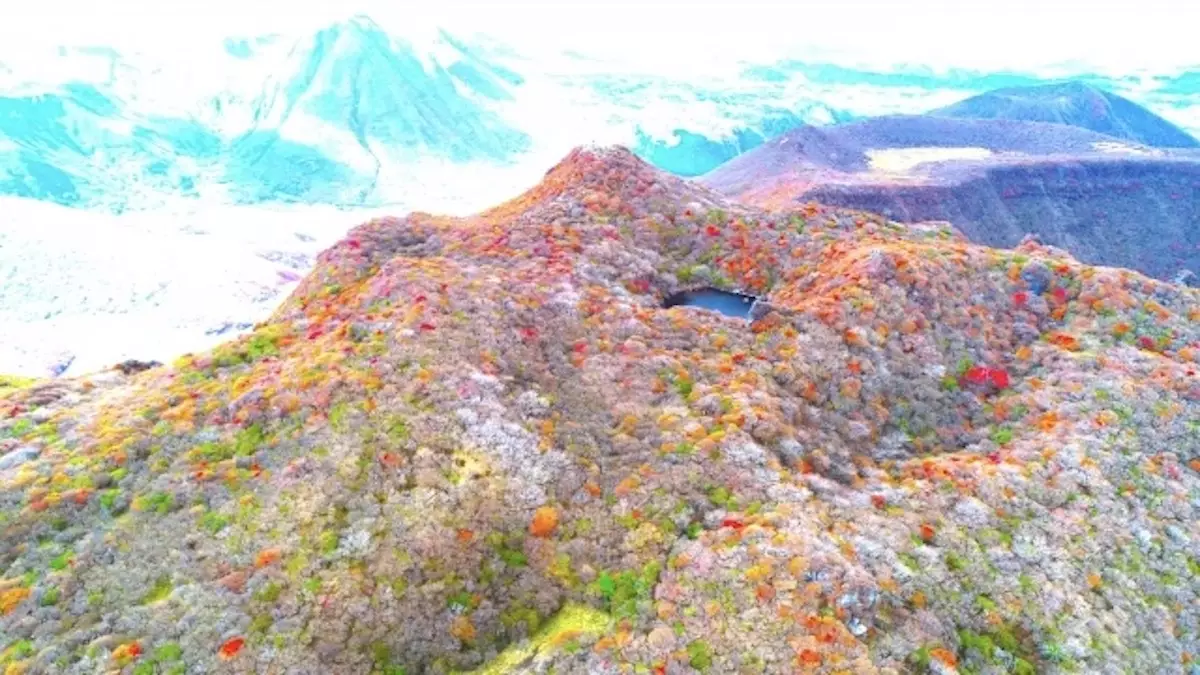 九重で人気沸騰！大船山の豊かな色彩を楽しむ登山ルートを難易度別に紹介