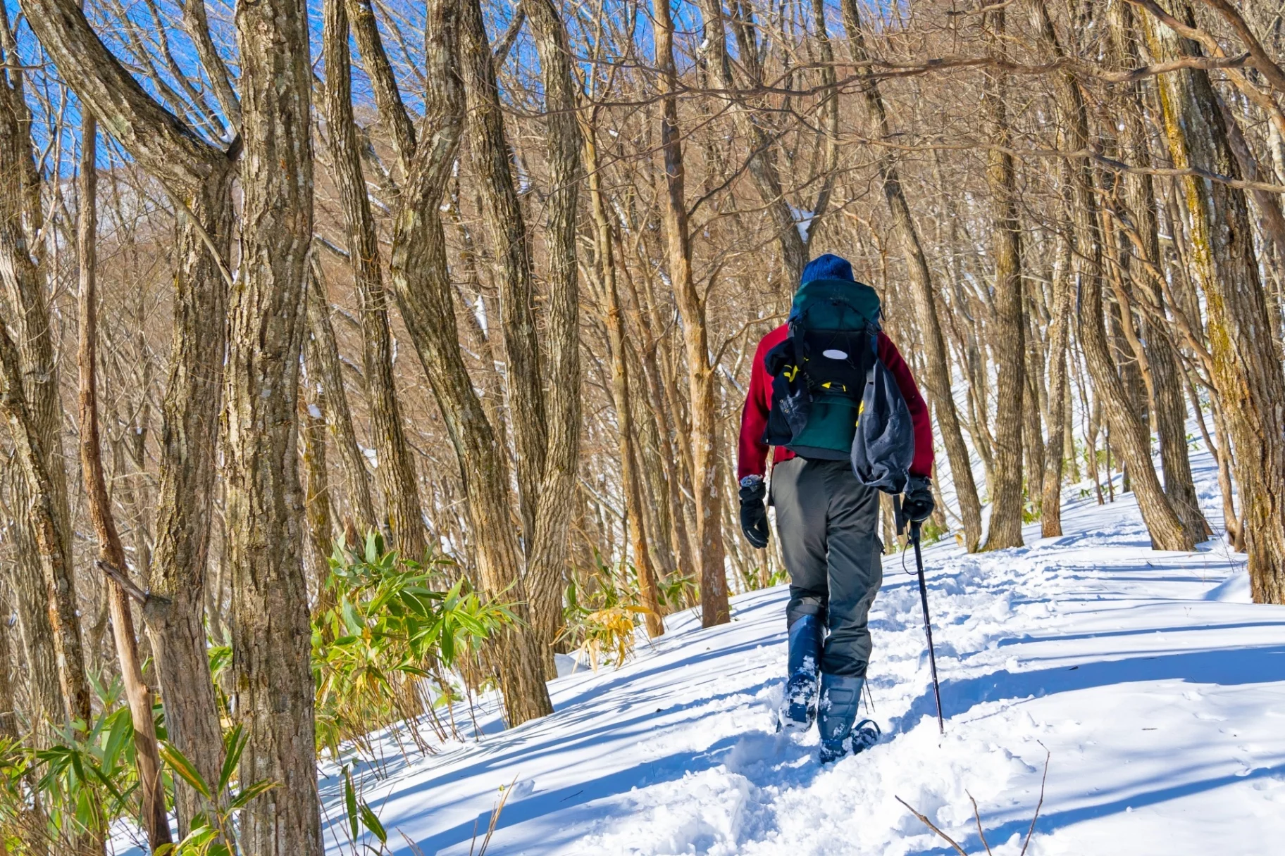 【24-25年版】日差しと寒さから身を守る！冬の中低山登山におすすめの防寒キャップ10選！