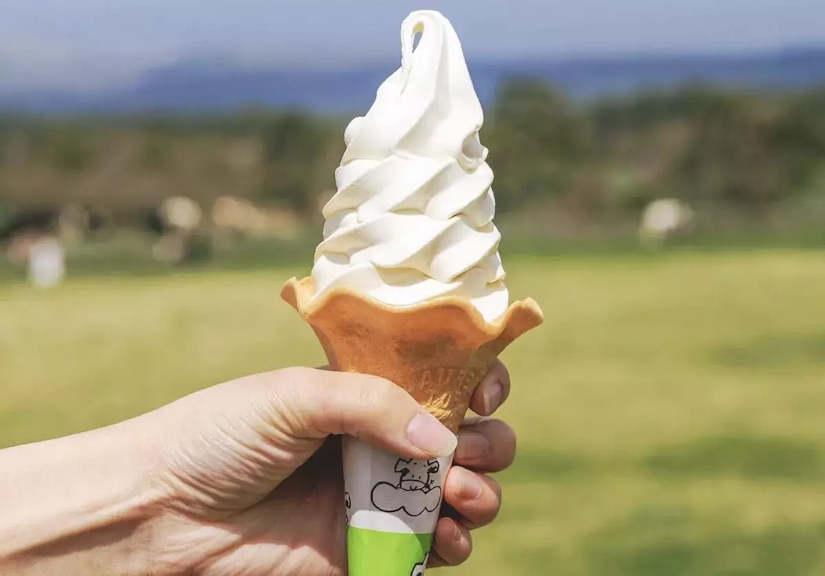 大山まきばみるくの里特性ソフトクリーム