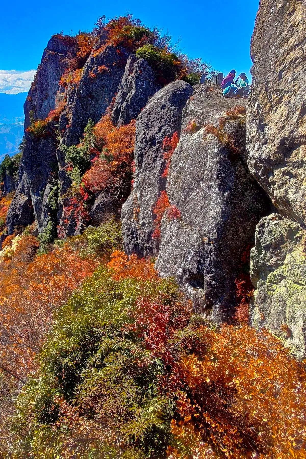 金城山の紅葉登山-きっつい水無ルートからのヤバい絶景-11月6日のレポート