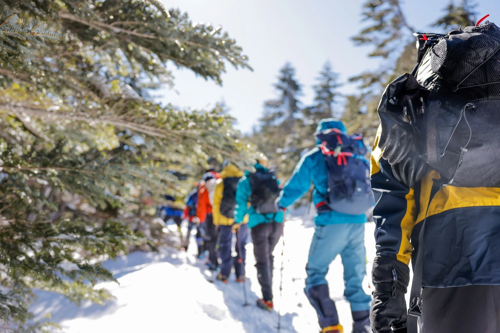 【24-25年版】安全で快適な冬山登山に！おすすめのヘッドウェア総まとめ！