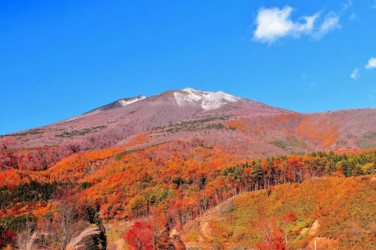秋　登山　紅葉
新雪の不忘山（蔵王連峰）と山麓の紅葉