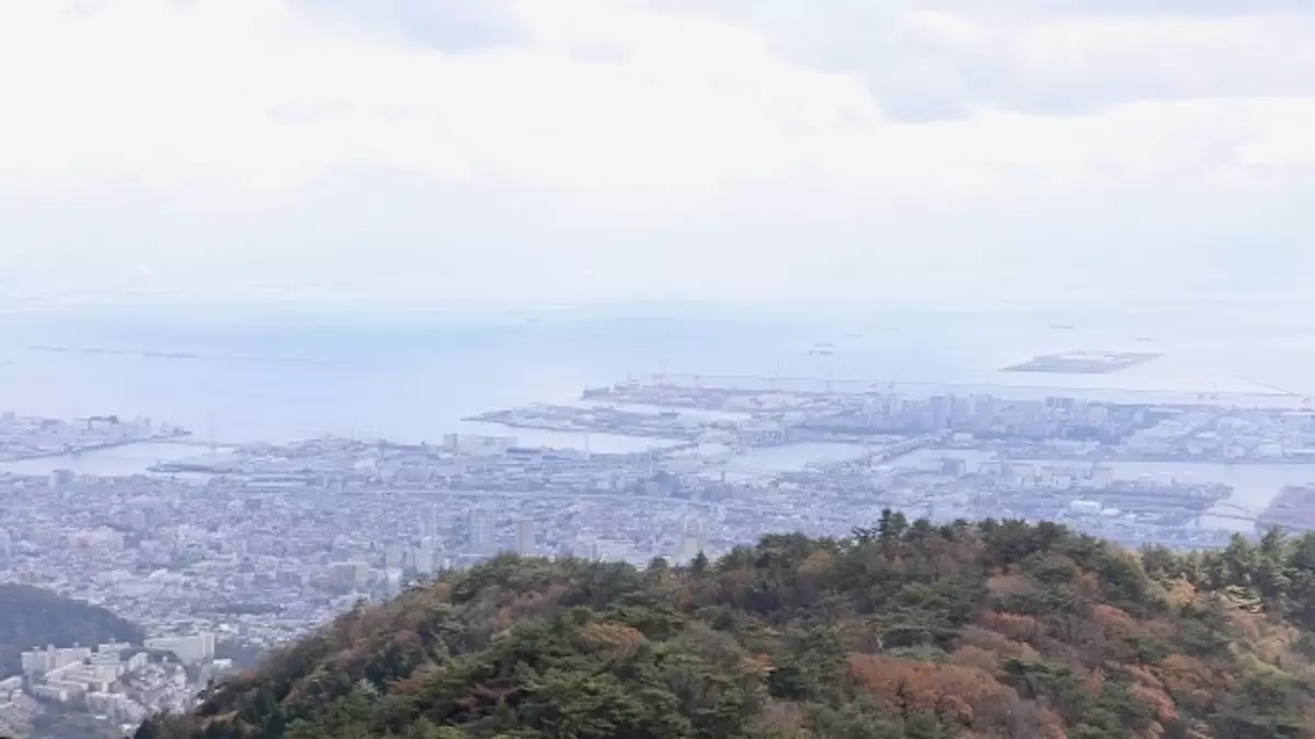 【秋のおすすめ登山】六甲山で紅葉を楽しむ登山ルートを難易度別に紹介