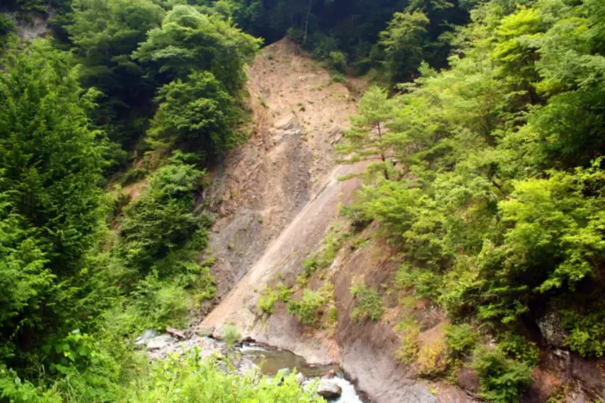 新倉断層糸魚川－静岡構造線の断層