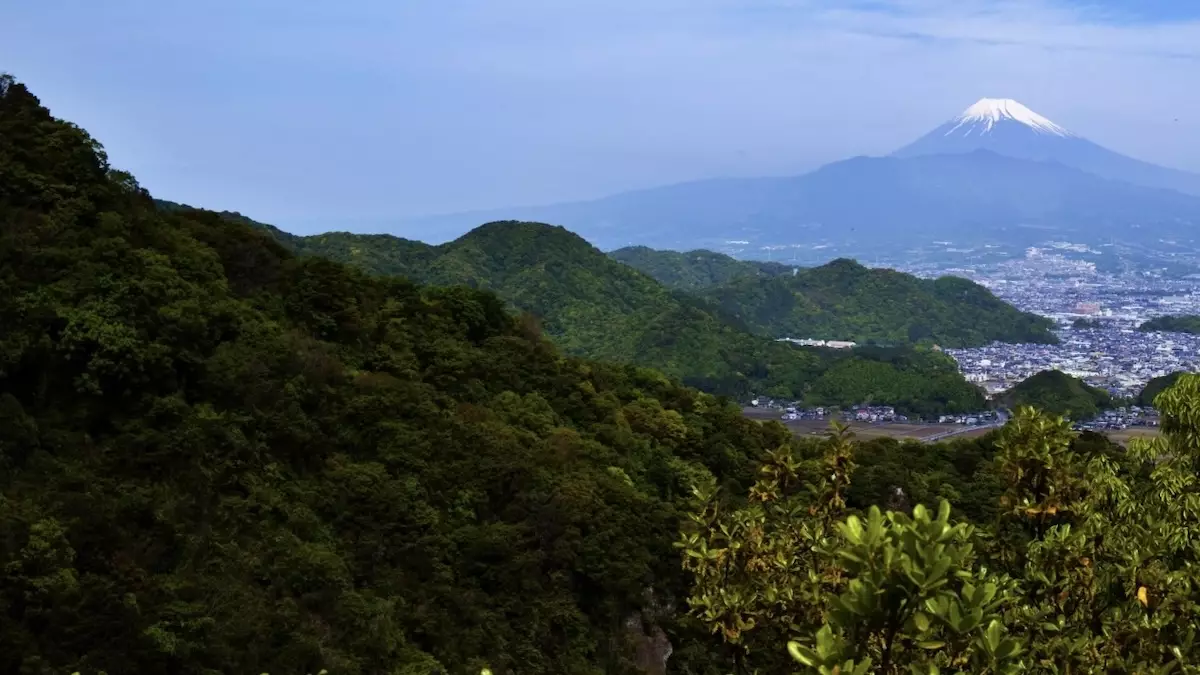 沼津アルプスから富士の絶景を望む！初心者におすすめの縦走ルートを紹介