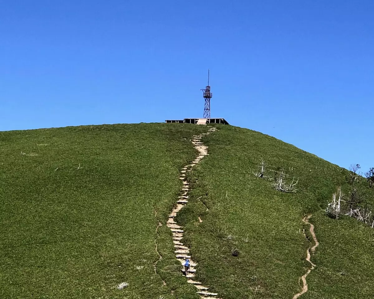 剣山のシコクササの稜線