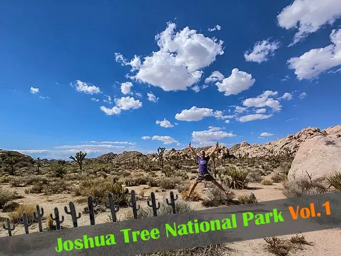 『ジョシュア・ツリー国立公園』入場方法とトレイルの楽しみ方