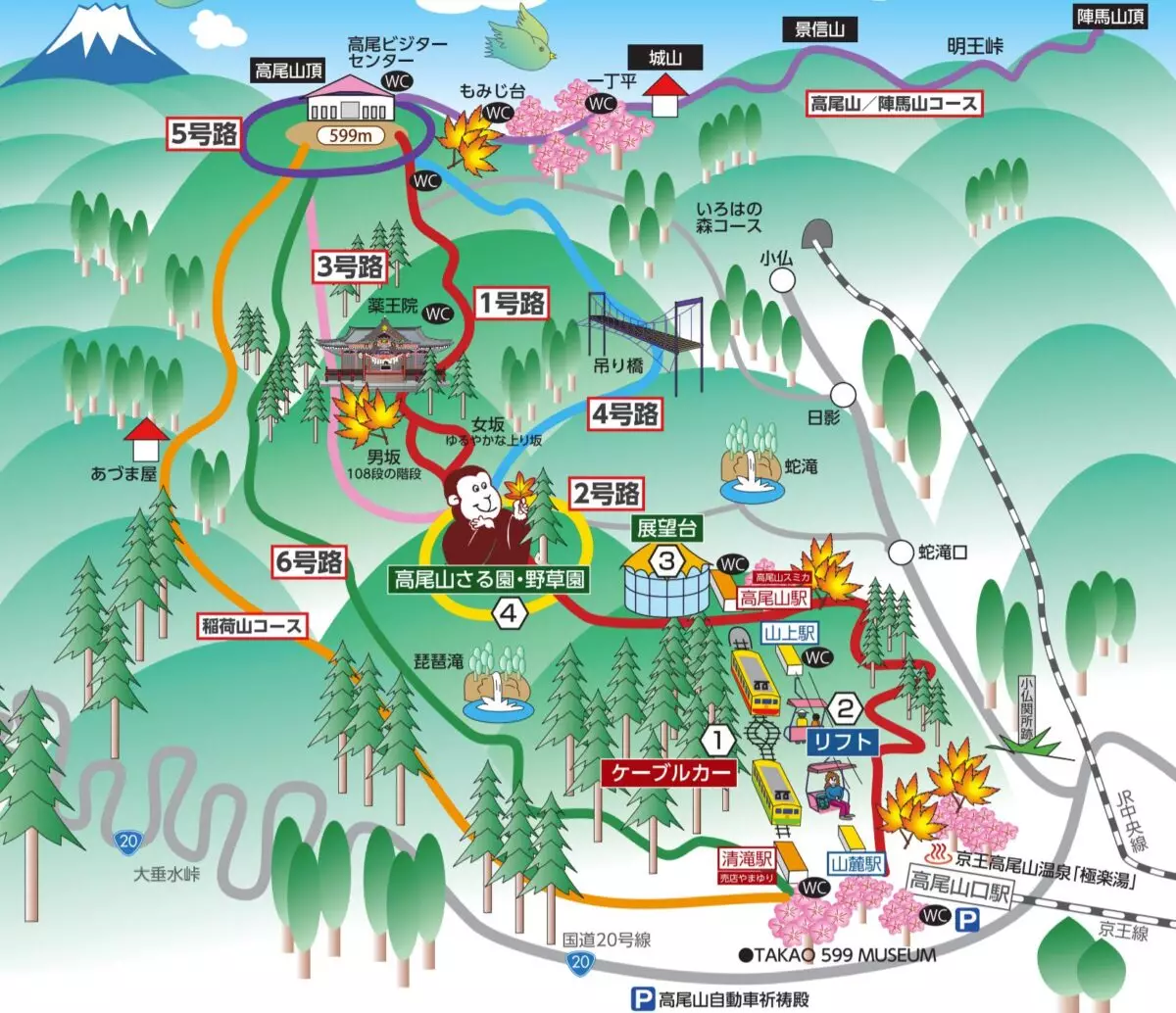 高尾山の全登山コース-初心者にも安心な登山コースの難易度と見どころ紹介