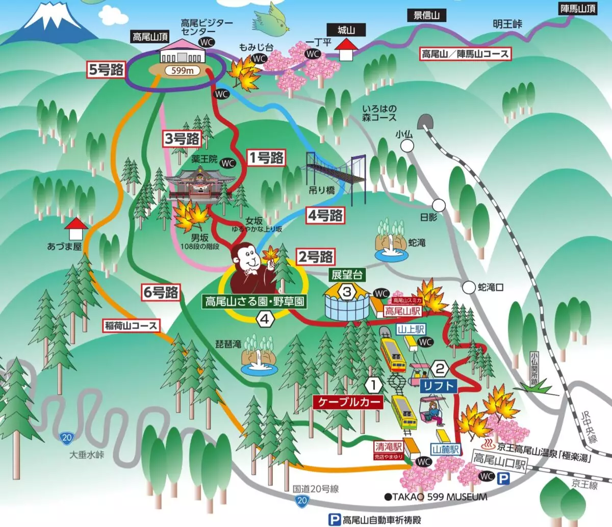 高尾山の全登山コース-初心者にも安心な登山コースの難易度と見どころ紹介｜ルート紹介から探す｜登山・トレラン・山スキーマガジン「山旅旅」