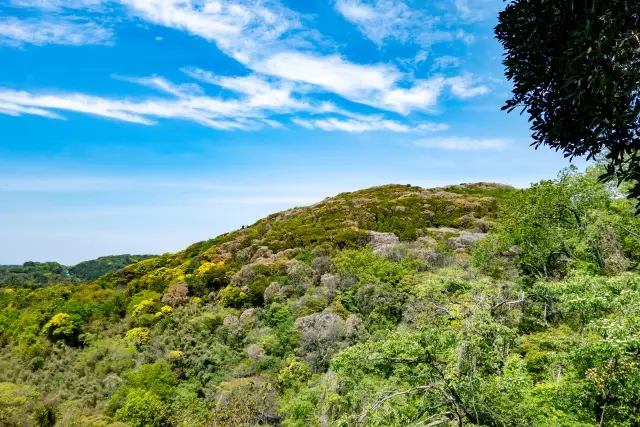 【日帰り登山】三浦半島最高峰！初心者から登れる大楠山の難易度別ルート紹介