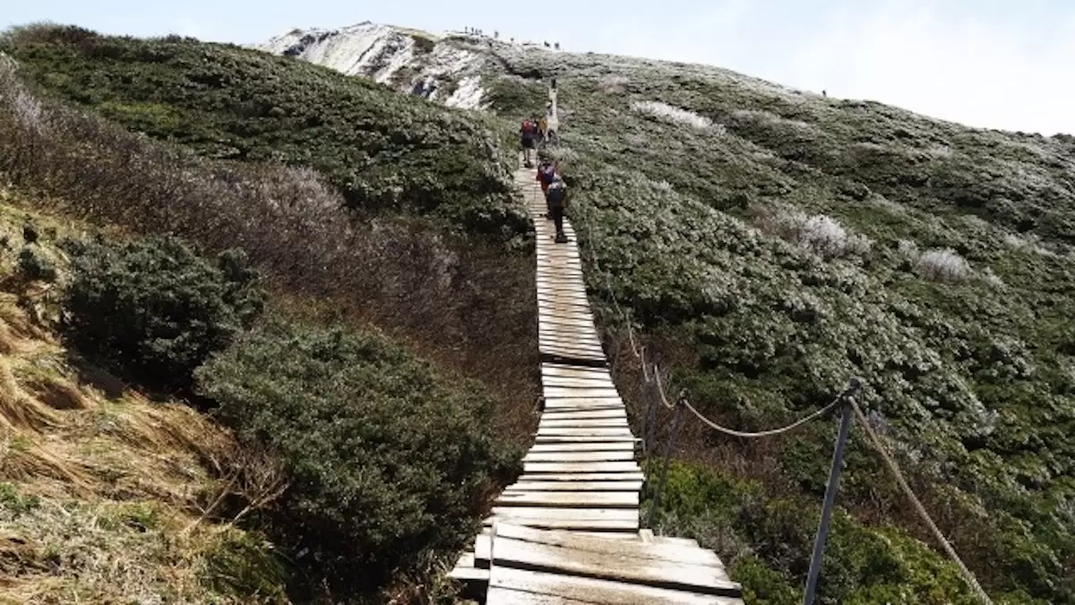 四国と中国地方の日本百名山大山の木道