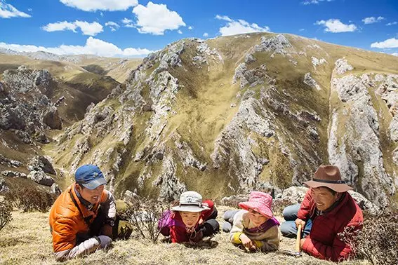 栗田 哲男 写真展『虫草・チベット・極限の標高5,000m地帯で冬虫夏草を採る人々』