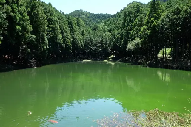 官ノ倉山の天王沼池