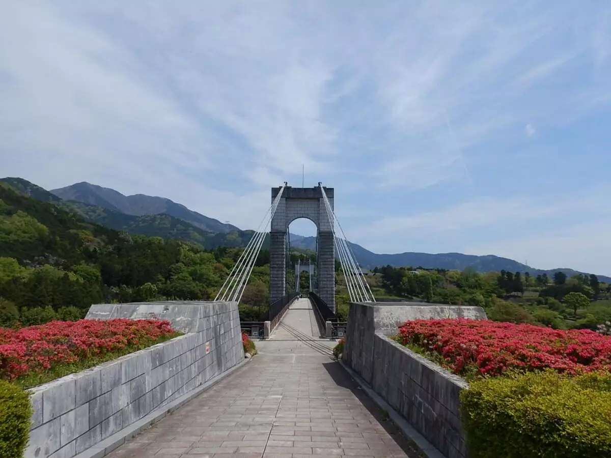 丹沢　三ノ塔　風の吊橋