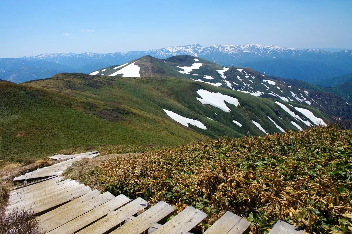 【残雪と新緑を堪能】テント泊でゆっくり訪ねる初夏の平標山