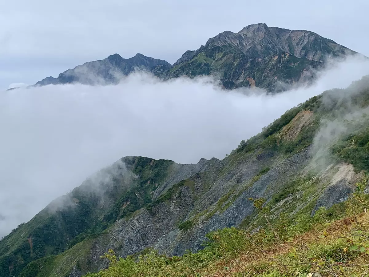 唐松岳の登山が人気の理由 登山初心者でも楽しめる高山植物と雄大な景色