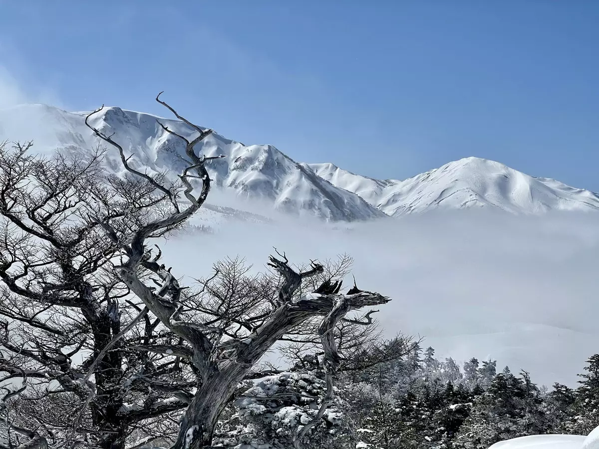 【#山旅フォト】冬山登山限定の絶景・おすすめの山