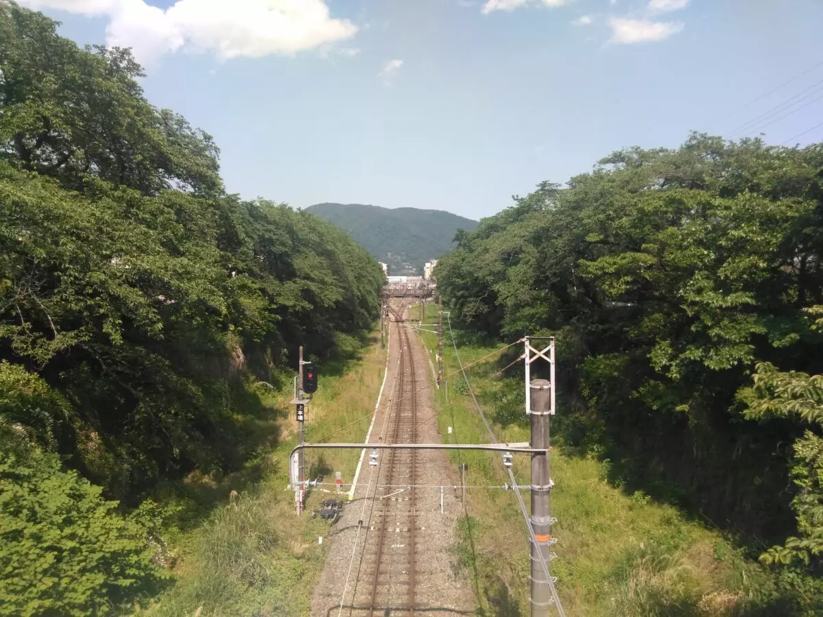 丹沢　大野山　ハイキング　鉄道