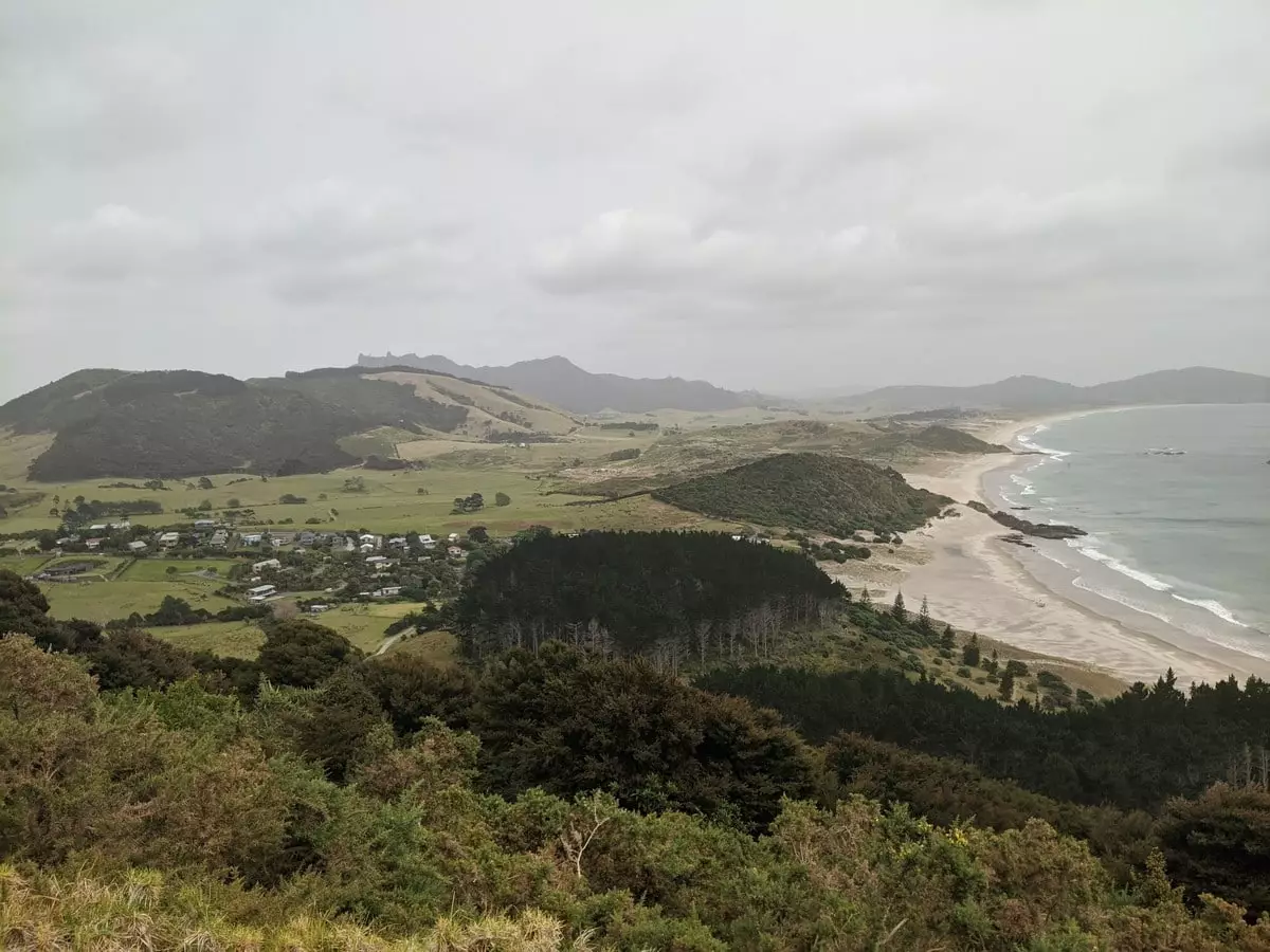 ニュージーランド北島 家族で楽しむローカル旅