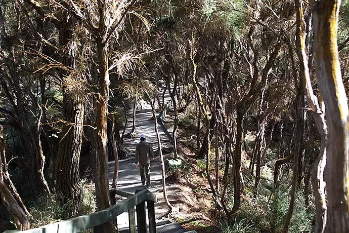 ニュージーランド ロトルアのワイオタプの見所