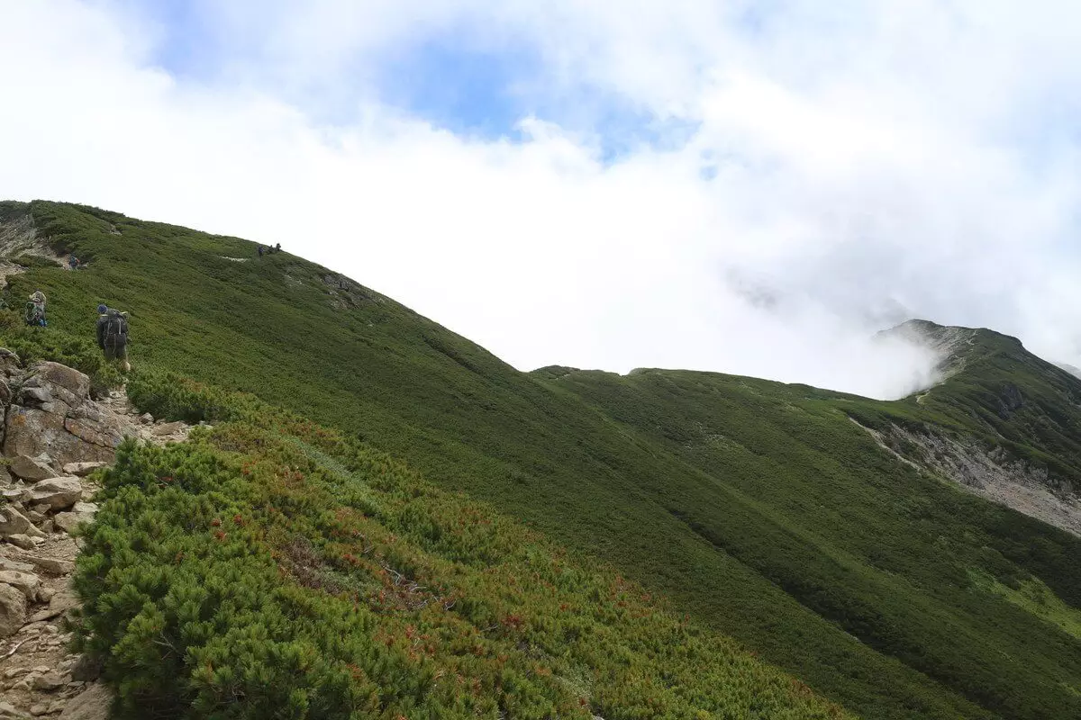 笠新道分岐から笠ヶ岳への稜線は緩やかなアップダウン