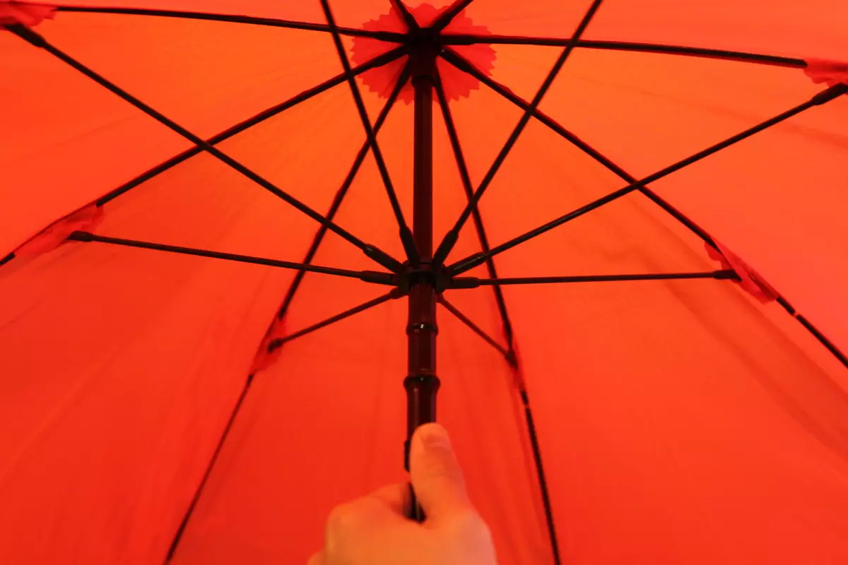 【レビュー】ユーロシルム スイングライトフレックス-登山時の傘