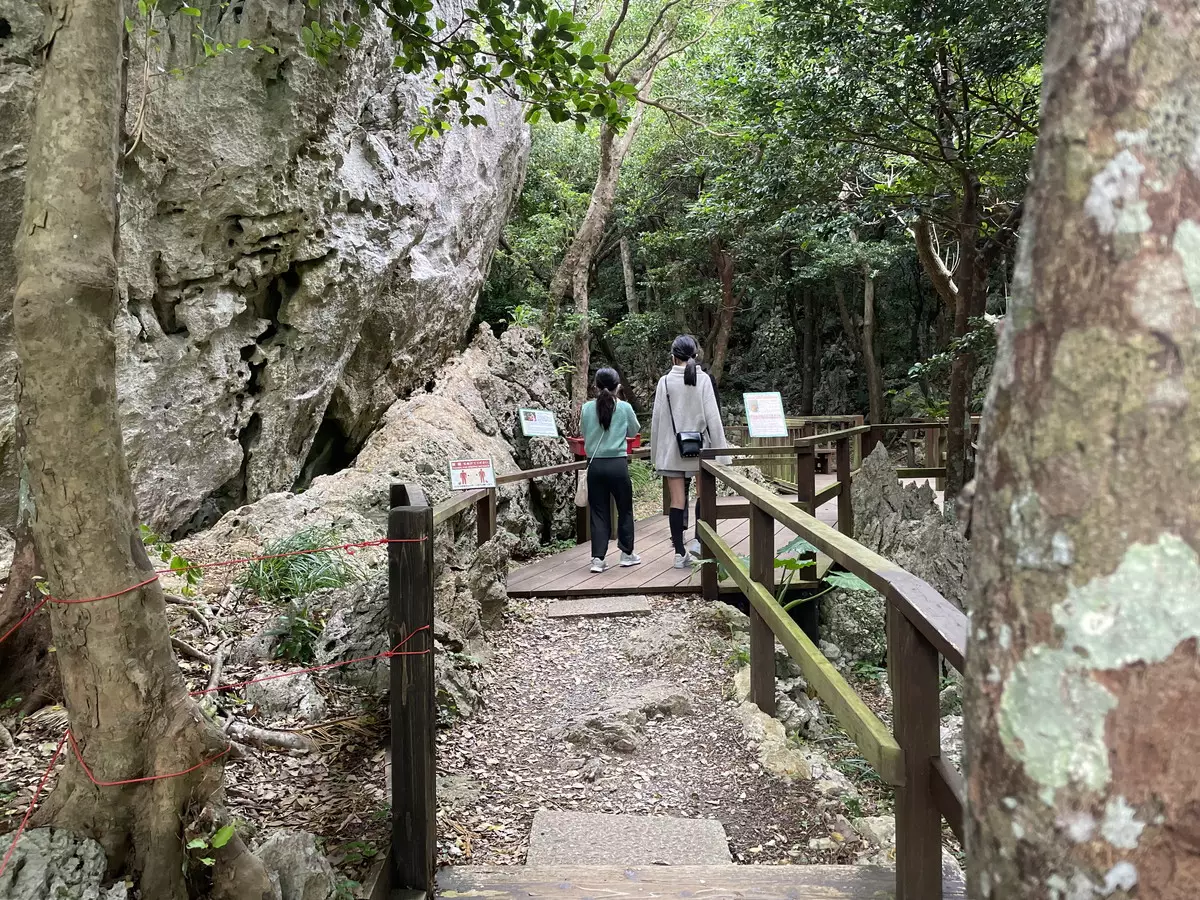 沖縄本島で家族と楽しむ登山・観光グルメスポット