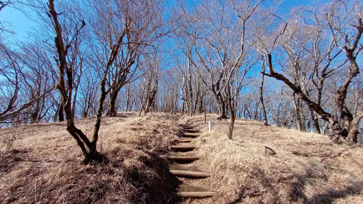 低山　おすすめ　塔ノ岳　鍋割山　稜線