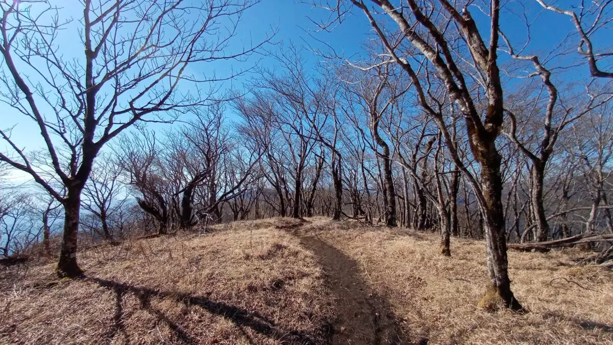 低山　おすすめ　塔ノ岳　鍋割山への稜線