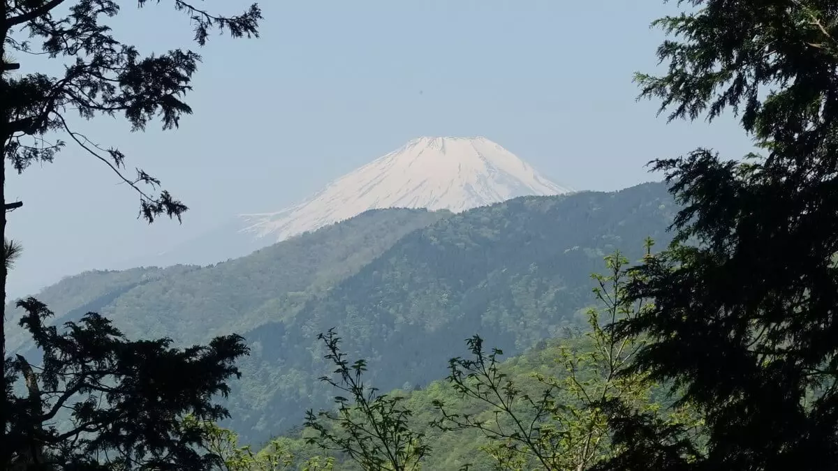 塔ノ岳からみる富士山