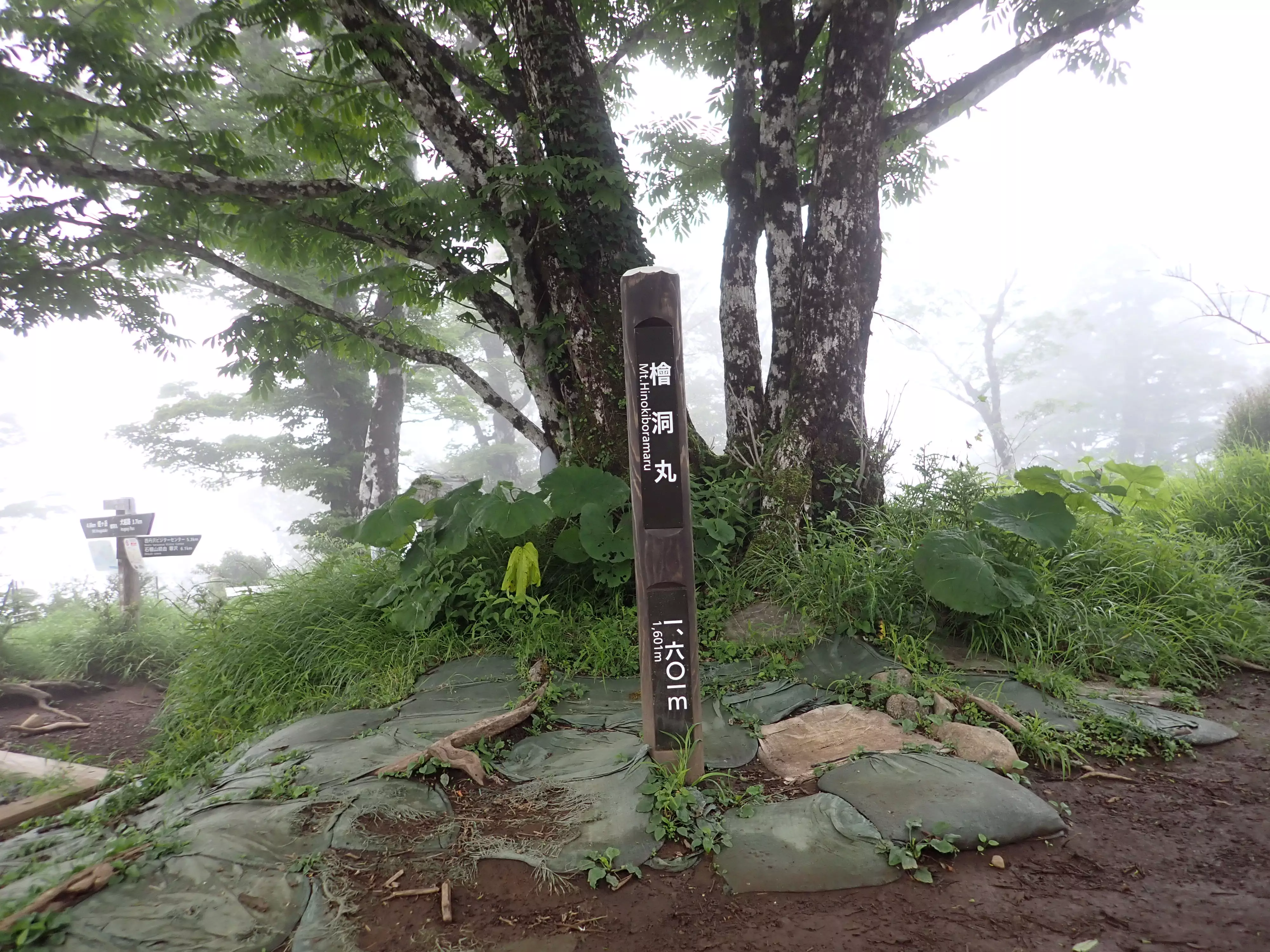 【日帰り登山】檜洞丸登山−初心者から楽しめる難易度別ルート紹介