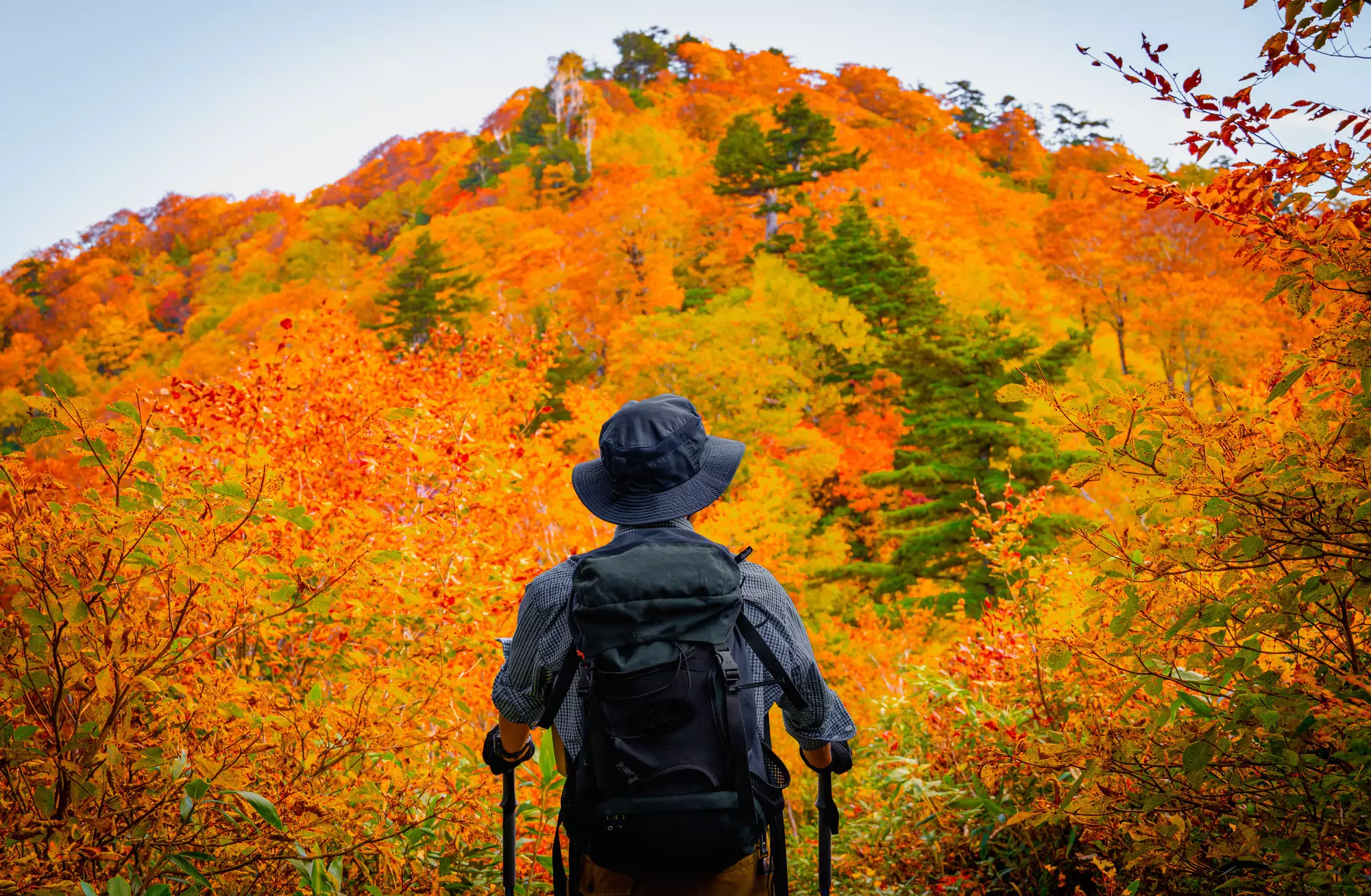 雄大な剣岳を望む信仰の山－奥大日岳の初心者向け日帰り登山から中級者向けの難易度別登山コース紹介