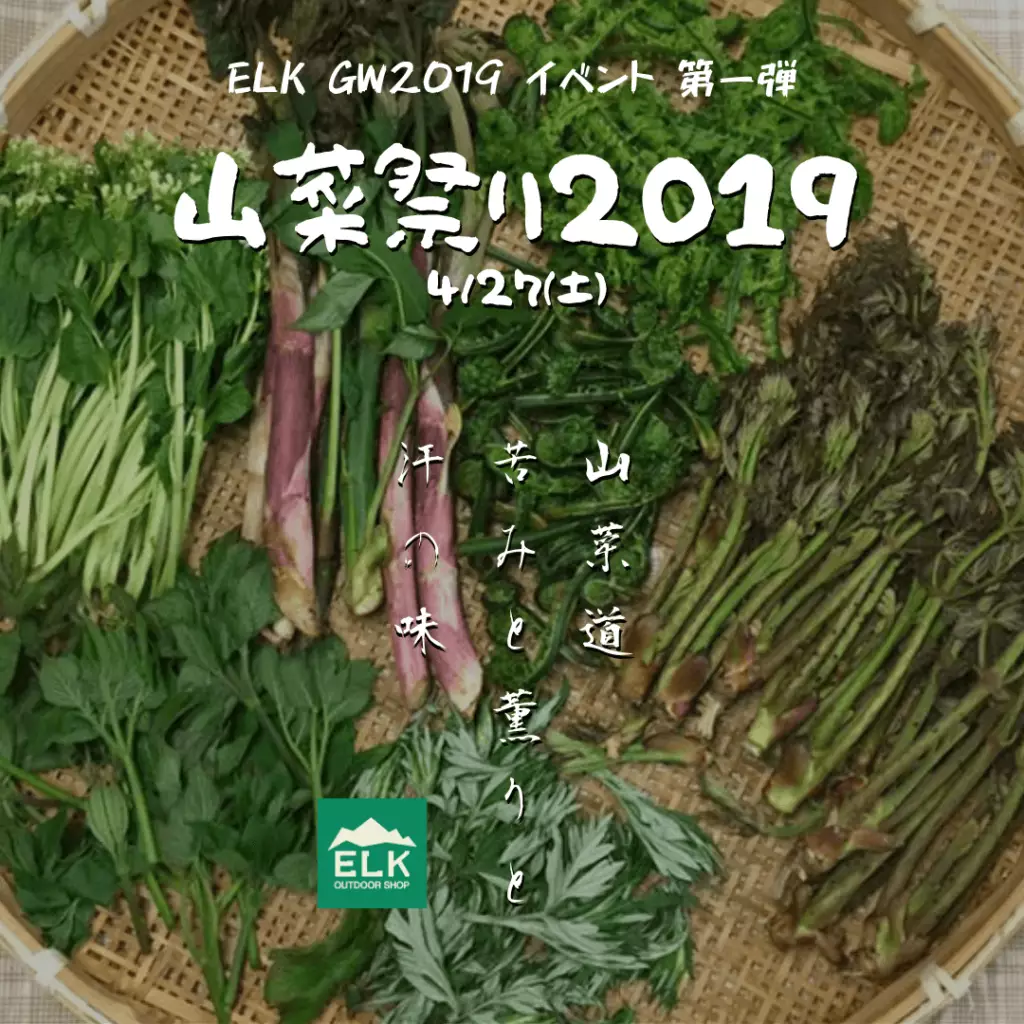 山菜祭り2019