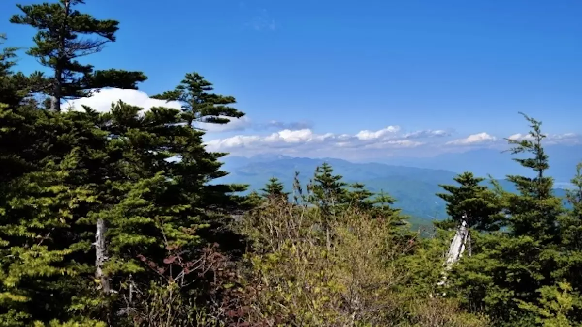 恵那山4合目と5合目の間の眺望