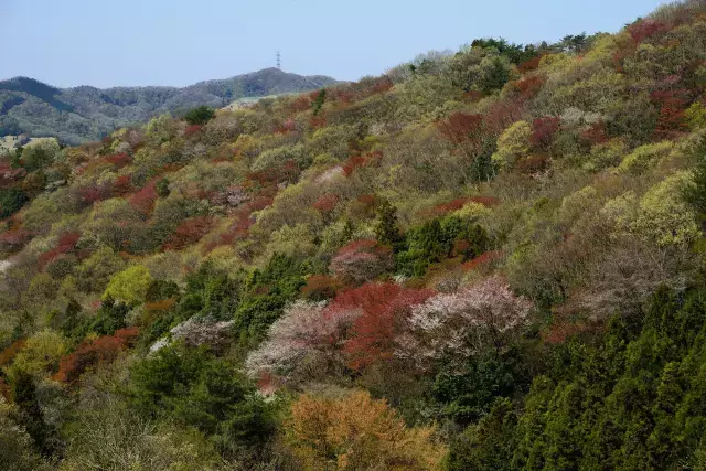 【関東】おすすめの低山16選-初心者から中上級者向けまで！日帰りで行く絶景の山をご紹介