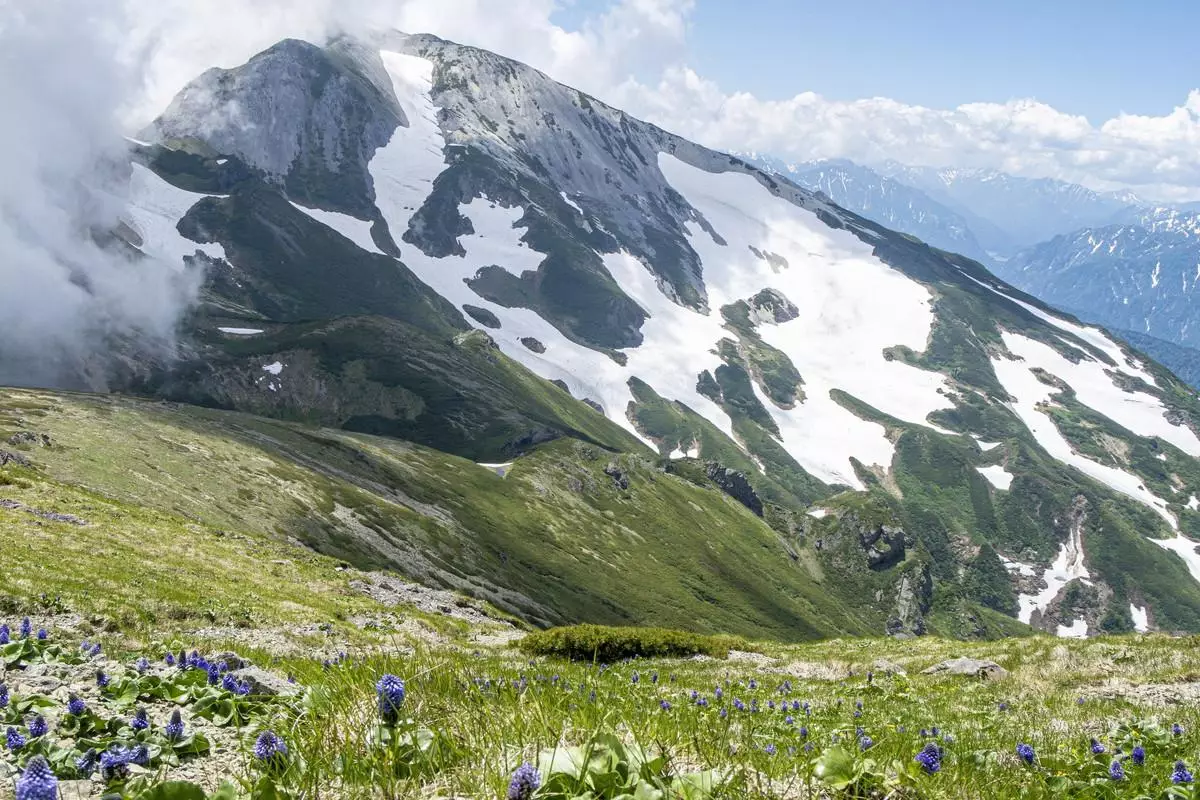 白馬岳登山－高山植物と大展望を楽しむ難易度別ルート紹介