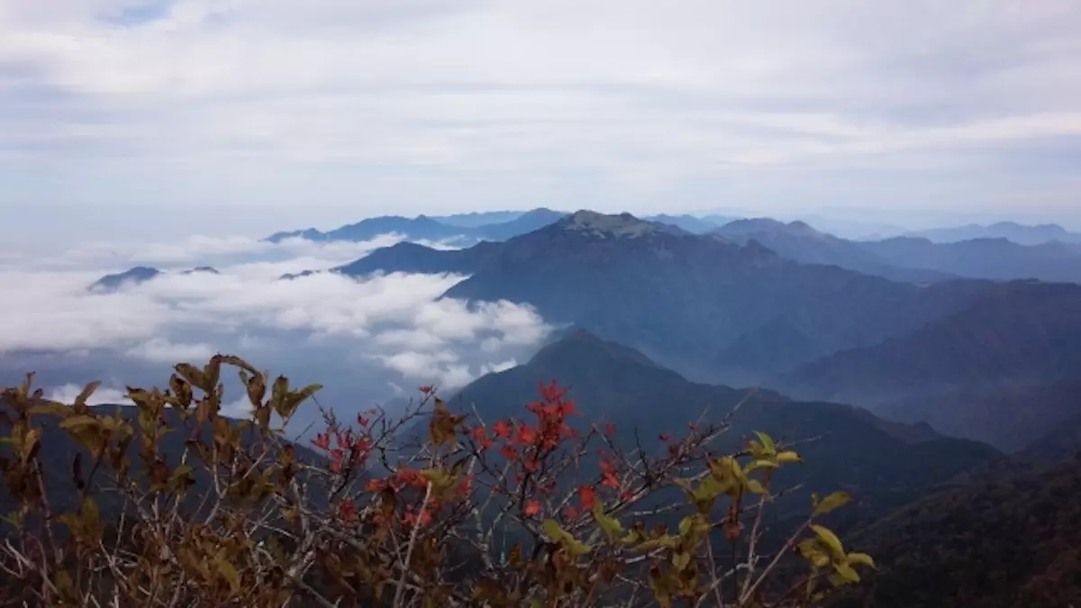 四国と中国地方の日本百名山の石鎚山山頂の雲海