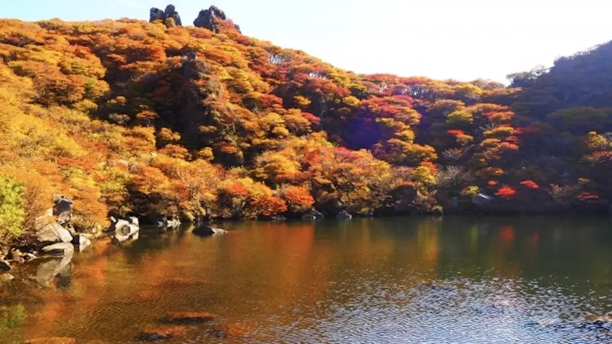 大船山登山御池周辺の紅葉