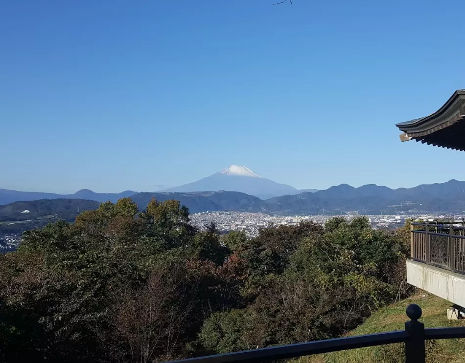 弘法山、眺望、秦野市、富士山