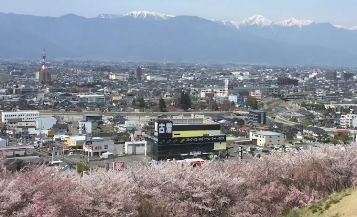 弘法山、桜、眺望