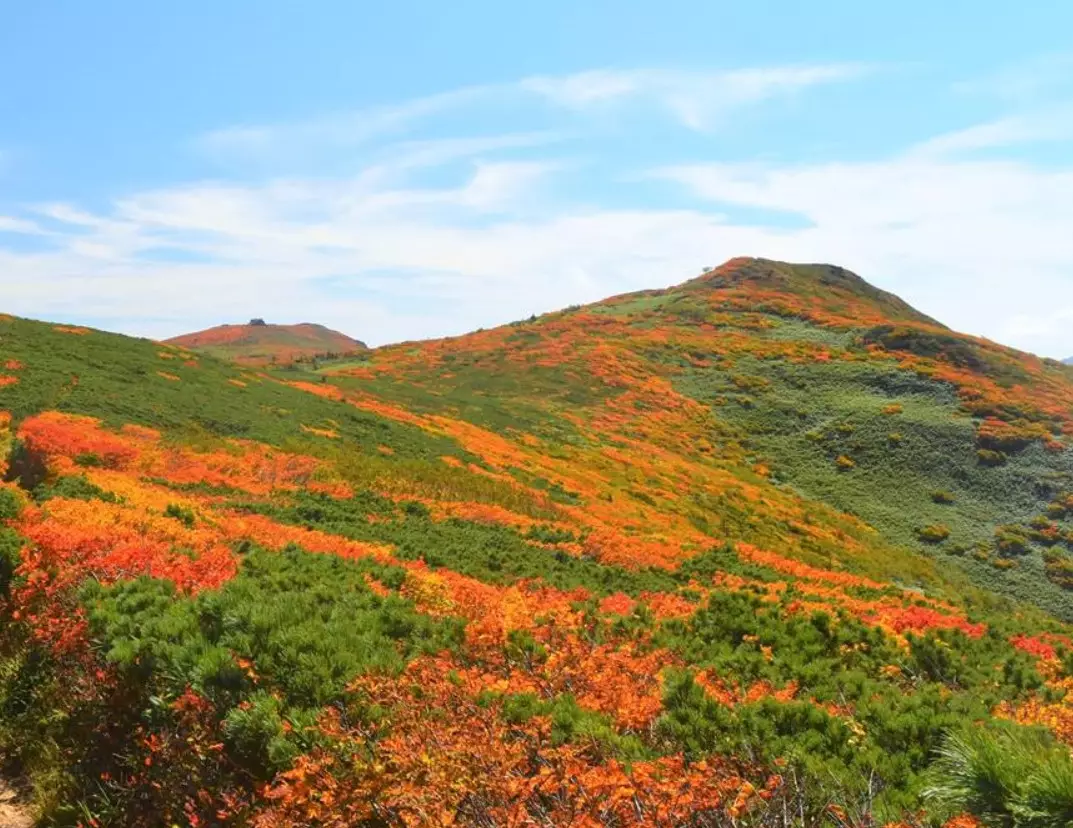 紅葉のコントラストが美しい仙丈ケ岳