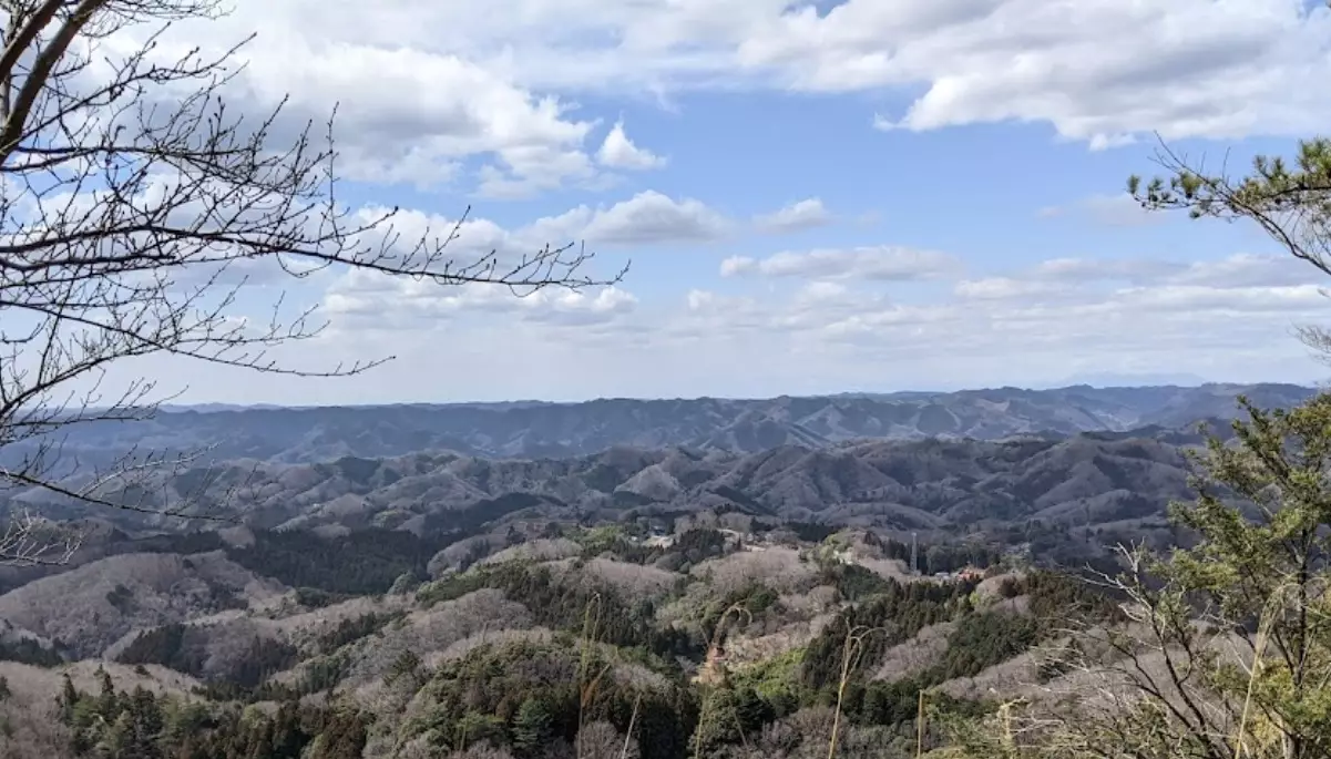 常陸太田市-西金砂神社の大銀杏と本殿からの景色